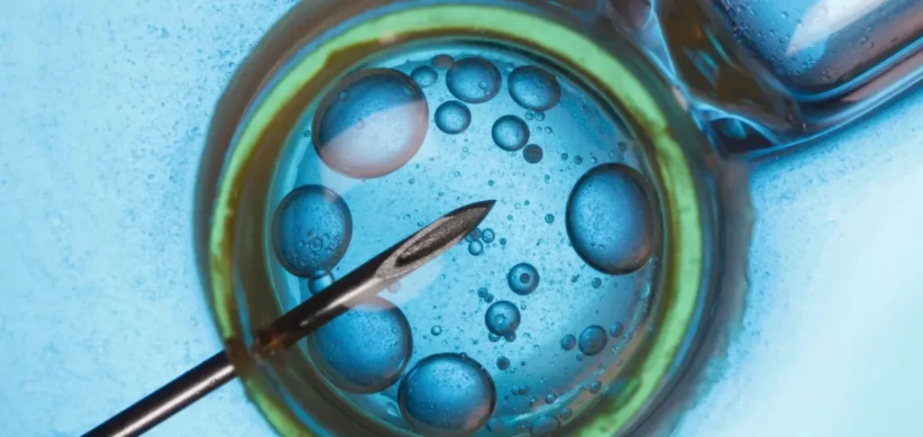 IVF vs. IUI_ Key Advantages of In Vitro Fertilization_